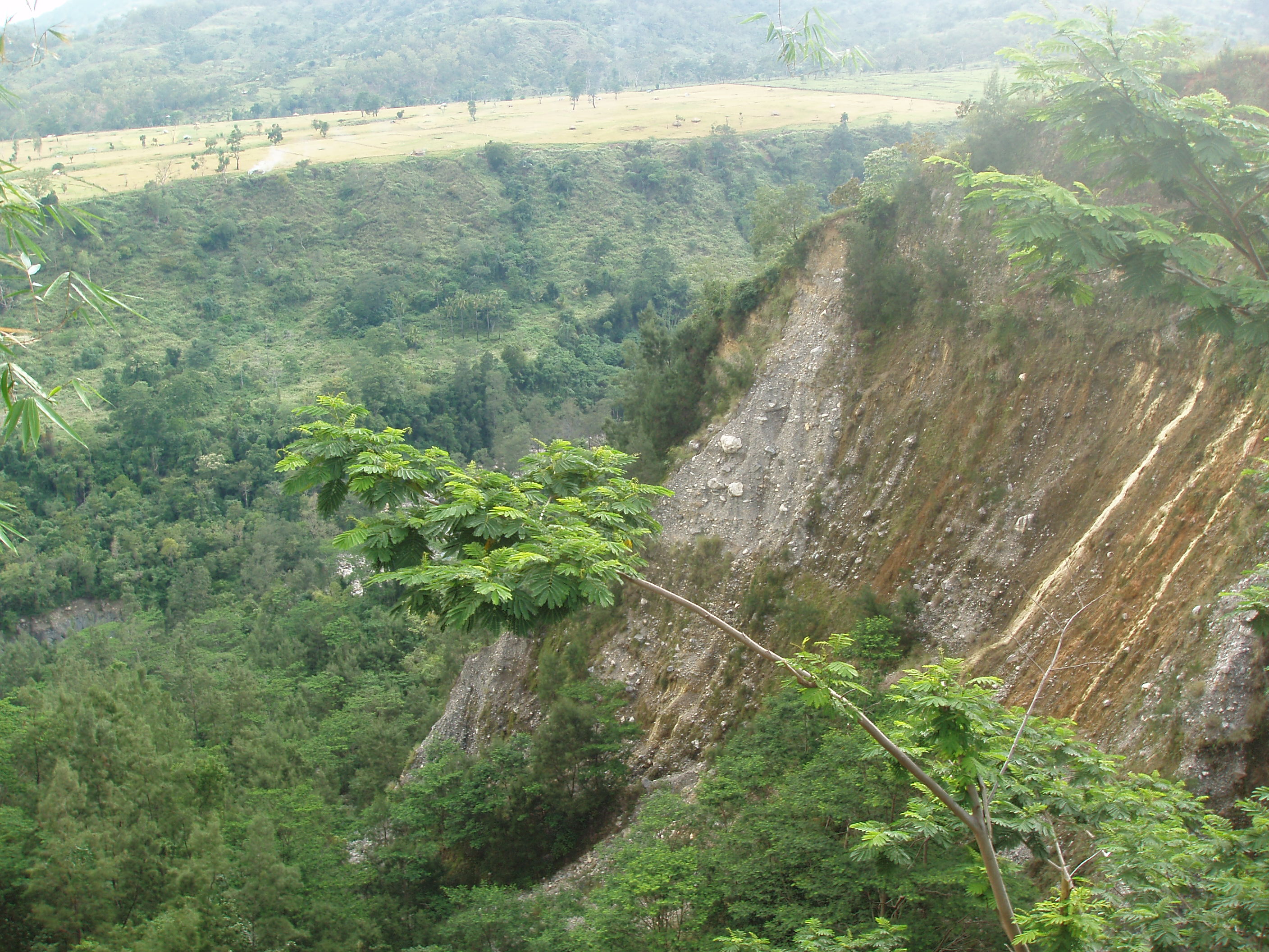 Jakarts dua, south of Ainaro
