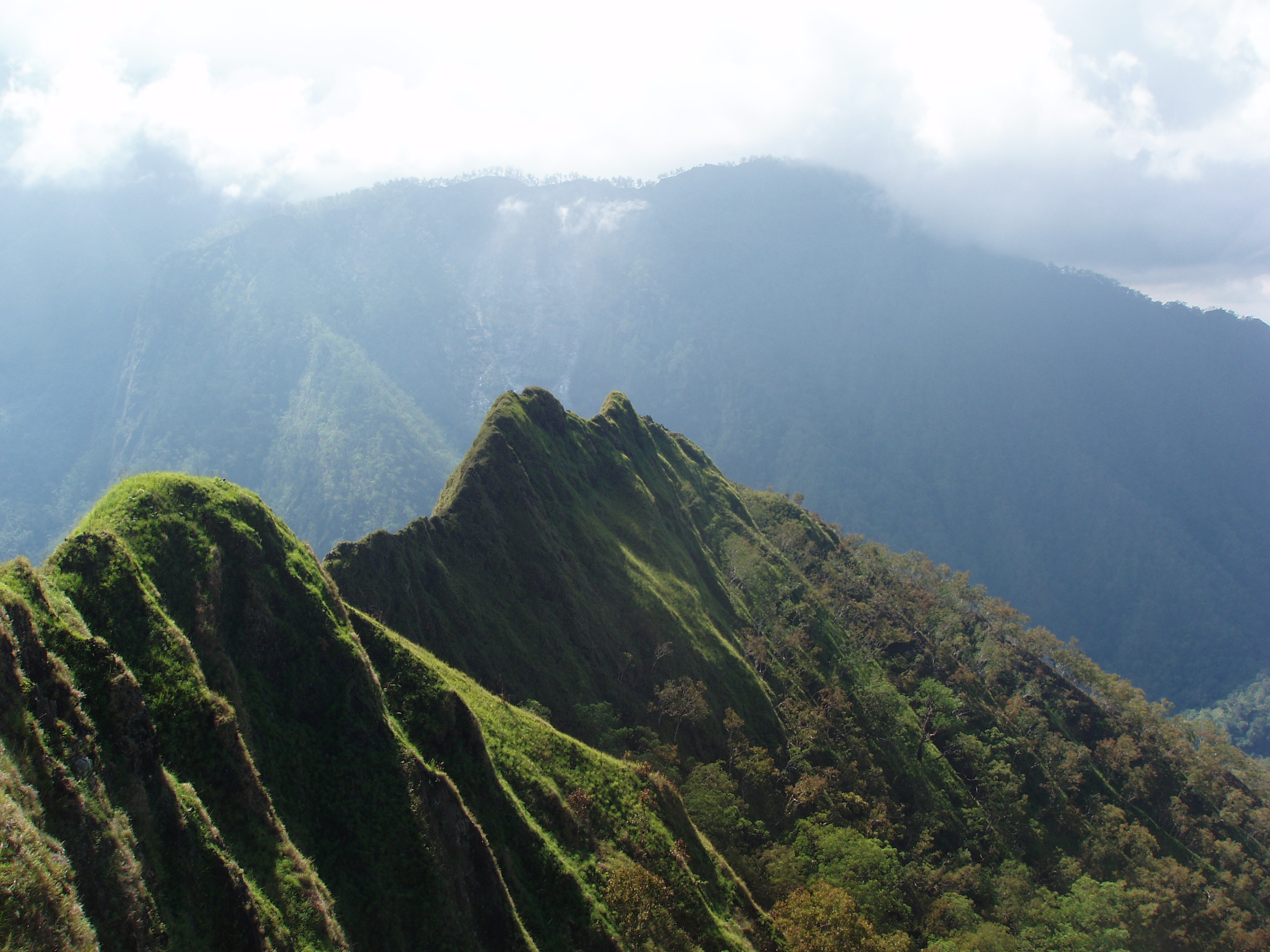 The crocodile's tail -  Ainaro region.
